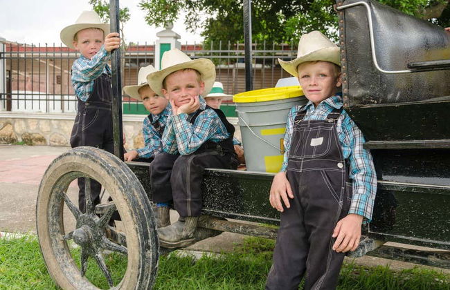 Excursión a los campos menonitas de Cuauhtémoc - Foto 4