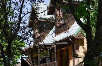 Rzeka i las - Photo 49