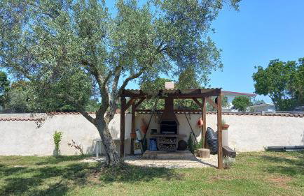 Olive Garden 2 - Foto 12