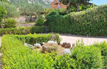 Apartments Alen - Foto 46