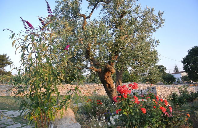 Trulli Paparale - Foto 35