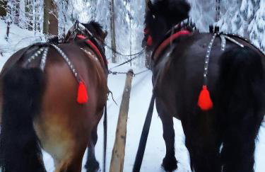 Wierchy Beskidu - Foto 50