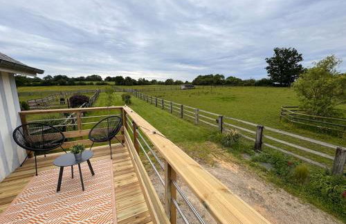 Gîte dans un petit haras - Foto 46