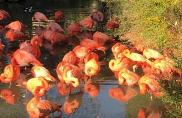 Les lumières de la Loire - Foto 45