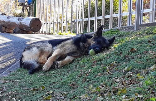 Pozza Appartamenti - Foto 34