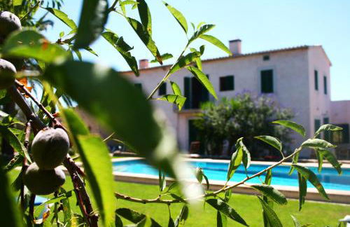 Son Jordi nou, beautiful villa near Alaro big swimming pool, BBQ mountain views 12people - Foto 77