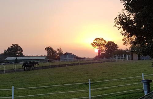 Kranichhof - Foto 33