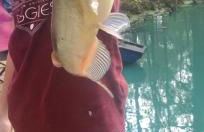 Waterfront Lonestar Cabin in a Magical Forest - Foto 16