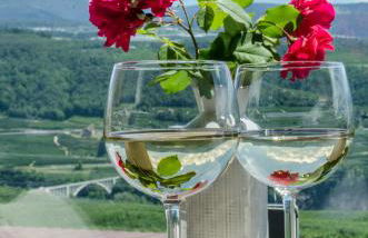 Orizzonti d'Anaunia - Photo 11