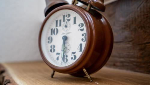 FeHaus am Walnussbaum - Foto 5