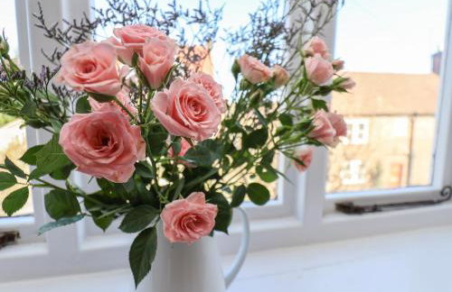 Field View - Foto 17