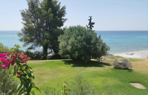 Απέραντο γαλάζιο Le grand blue - Foto 59