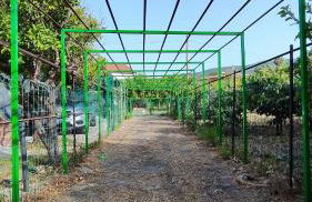 Anastasia's House - Foto 68