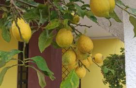 La nostra casetta - Foto 11