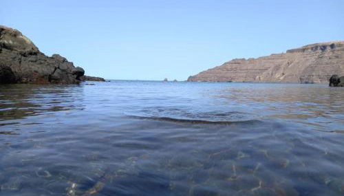 APARTAMENTOS FLOR - Photo 5