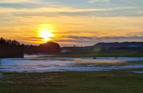 Gasthof Grüner Baum "Kongo" - Foto 20