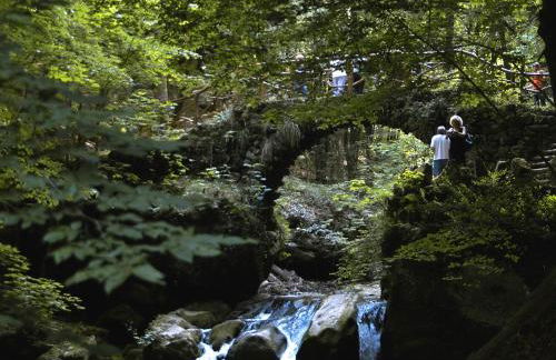 Landhaus Waldlehne - Foto 53