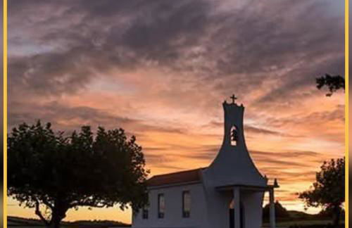 Herdade das Hortênsias - Foto 30