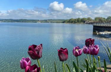 Ferienwohnung Neubacher - Foto 23