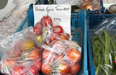 46 Gower Holiday Village with Swimming pool - Foto 31