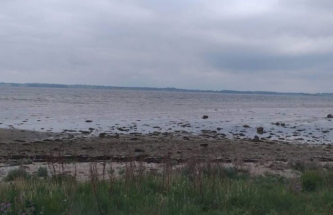 Seaside Serenity in Jaegerspris-by Traum - Foto 31