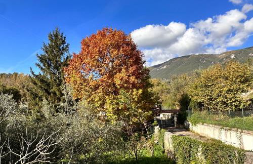 Il Bosco Guest House Subiaco - Foto 14