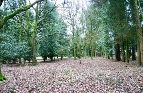 Beautiful cottage in Brentwood - Foto 45