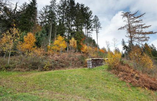 Ferienwohnungen Vogt's Libding - Photo 42