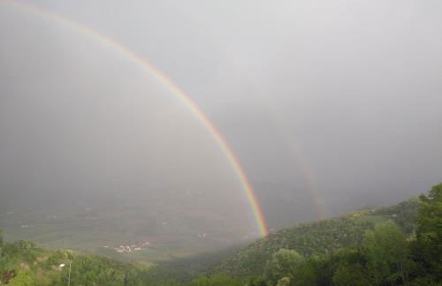 casa banana - Foto 29