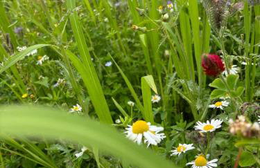 Otter Camp Private Riverside Glamping with Hot Tub - Foto 28