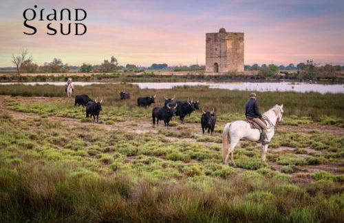 L'ANCRE MARINE - Appartement 2 chambres avec parking proche de la plage - Photo 9