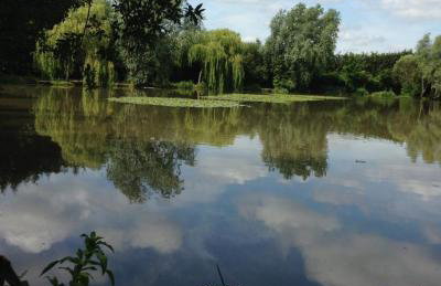 Data House Apartments TWO - Foto 14