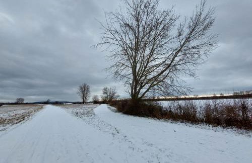 Ankerplatz direkt am Altmühlsee bei Juliane und Klaus - Foto 32