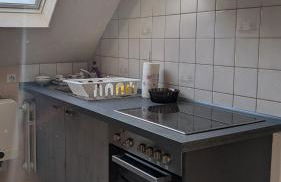 Pfälzer Waldliebe - Photo 9