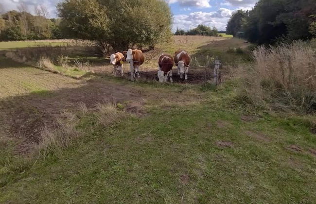 Seaside Serenity in Jaegerspris-by Traum - Foto 12