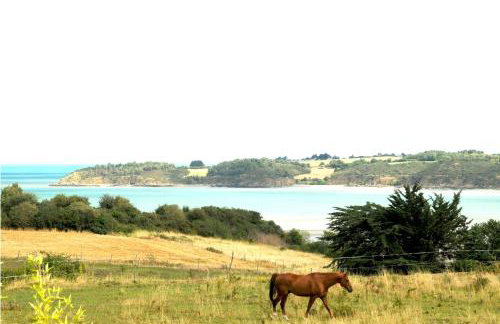 le Ti'Nid - Gîte de charme - Vue Mer - Foto 39