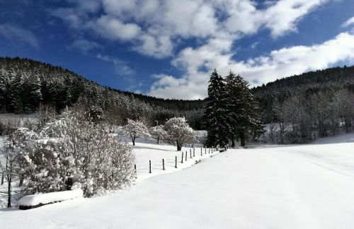 Ferienwohnung Bühler - Foto 29