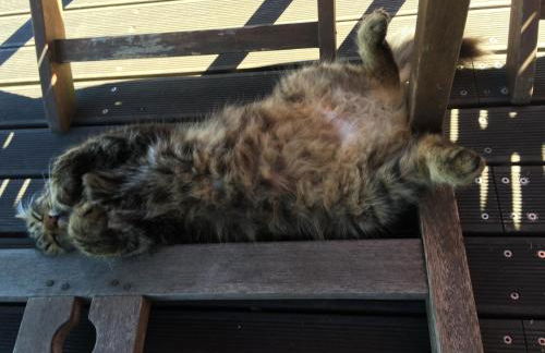 chalet des Illes SEYSCHELLES I - Foto 17