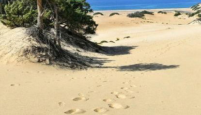 Borgo Ingurtosu - Foto 4