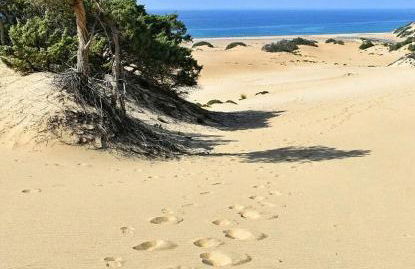 Borgo Ingurtosu - Photo 4