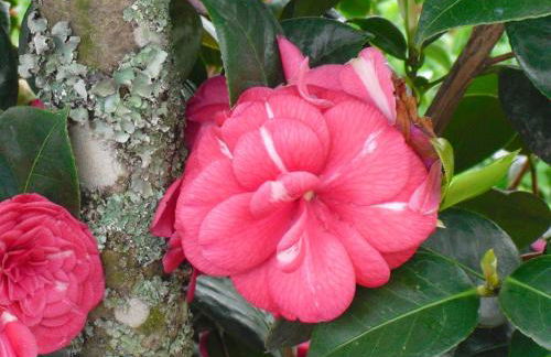 O Aconchego das Raízes - Photo 18