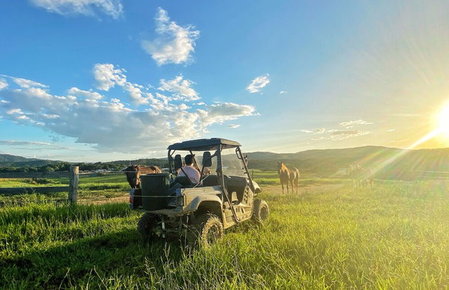 Kur Cow farm - Foto 21