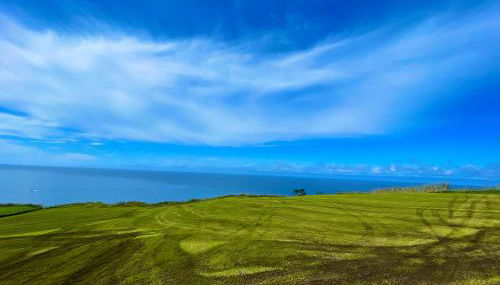 Vivenda Luxuosa - Photo 5