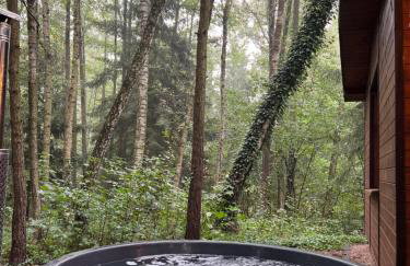 Sosnowy Strumyk - Foto 2