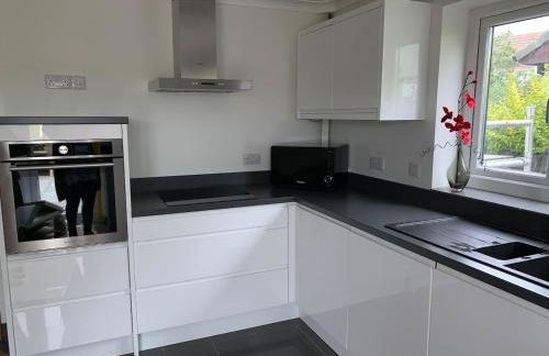 Buena Vista - Foto 9