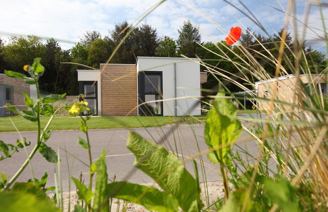 Luxury Chalet With two Bathrooms, Near the sSa on Texel - Foto 27