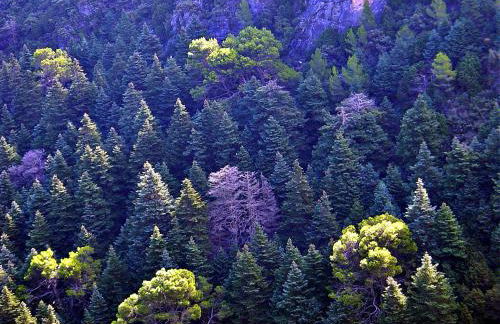 Casa Pepe La Rosa Atico - Foto 45