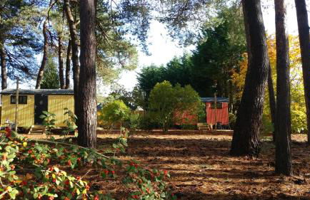 Forest Heath Shepherd's Huts - Foto 8