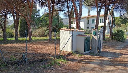 Riccio di Mare - Foto 4