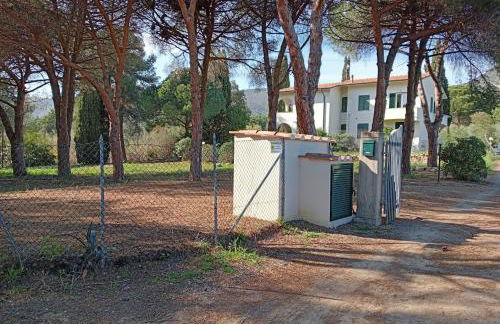 Riccio di Mare - Foto 4